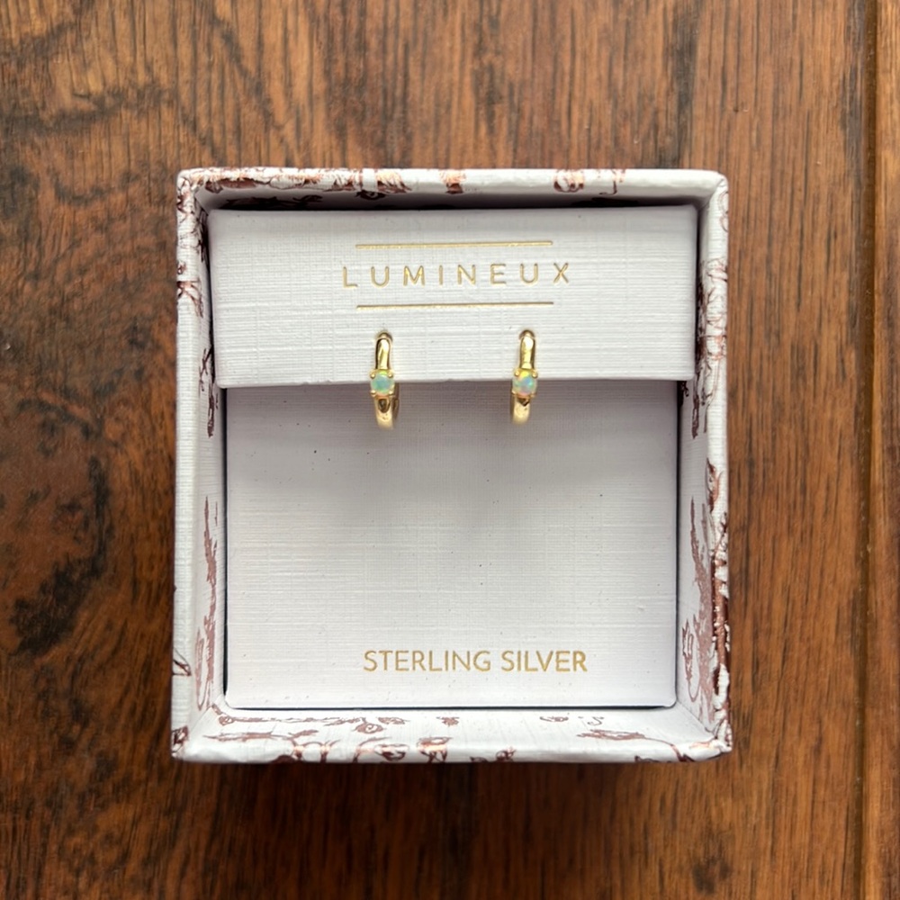 Gold Hoop Earrings